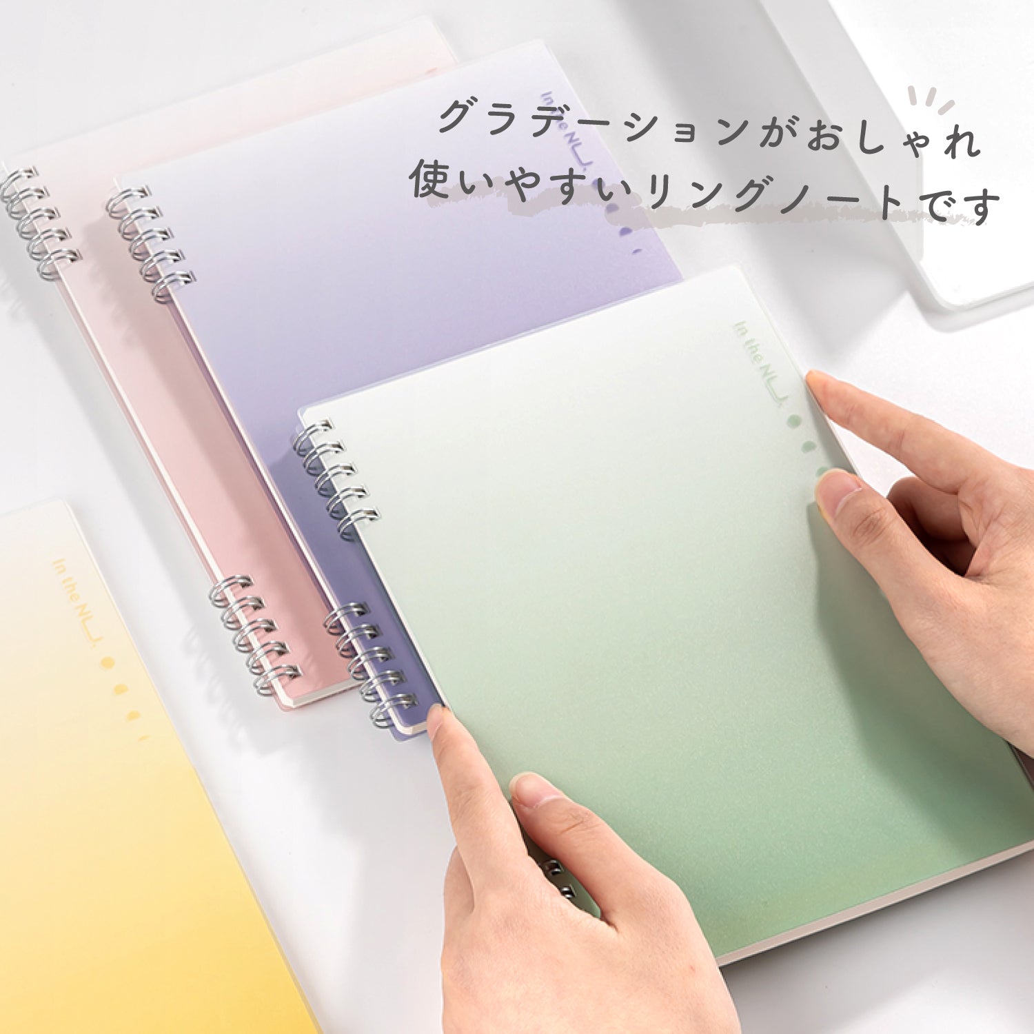 Nusign リングノート B5 60枚