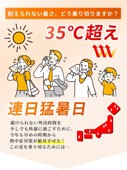 ミストハンディファン ホワイト ギフト対応 W02 100段階風量調整 ハンドストラップ付き