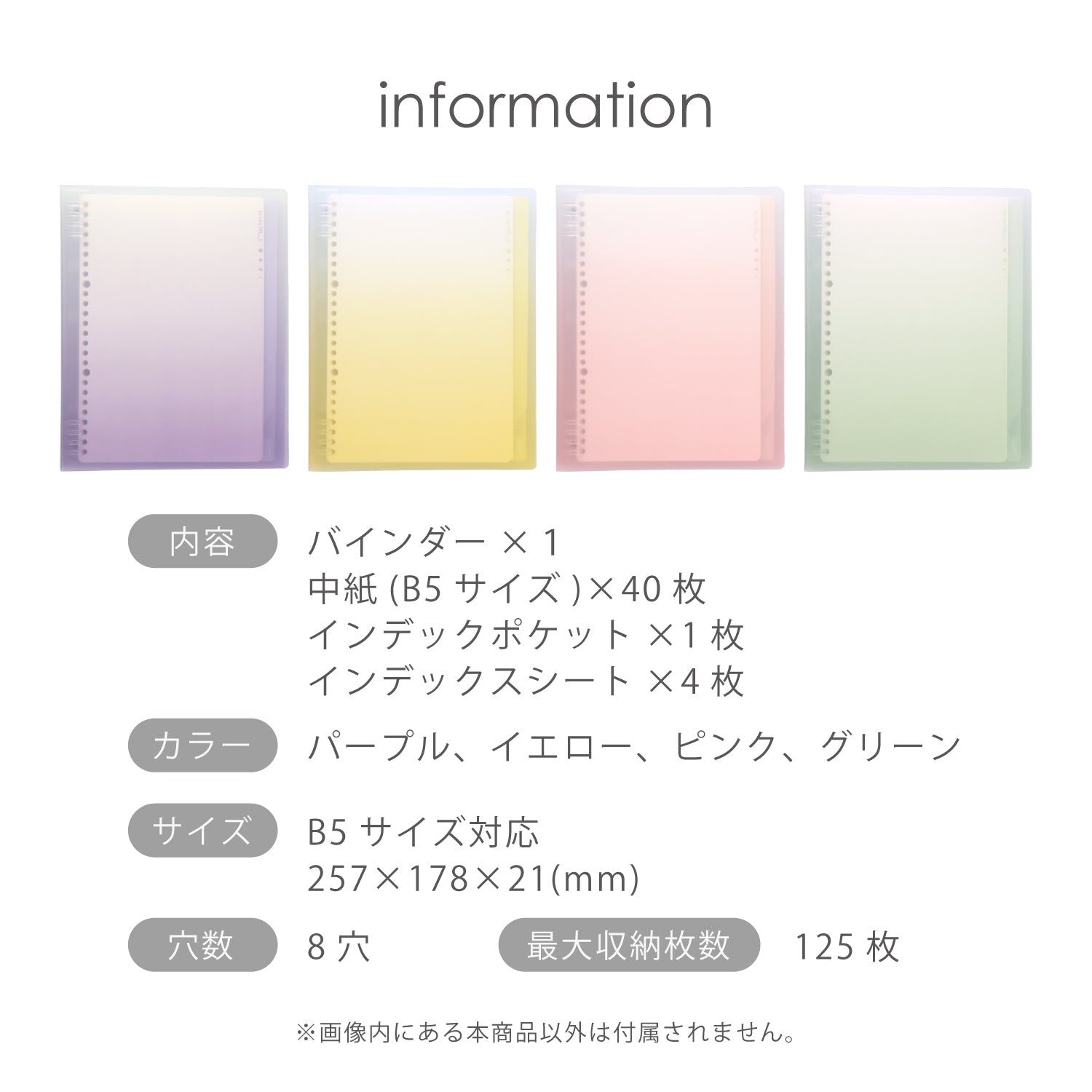 Nusign ルーズリーフバインダー 8穴 B5 40枚