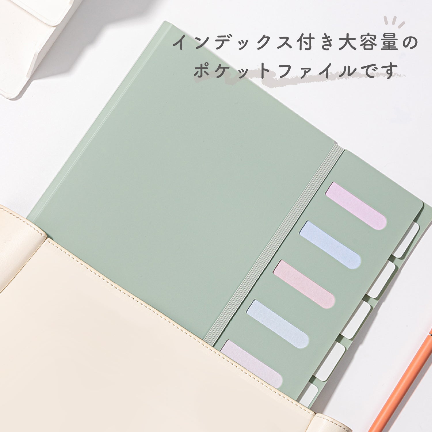 Norton 本　おまけ付 Nusign クリアホルダー A4 6ポケット