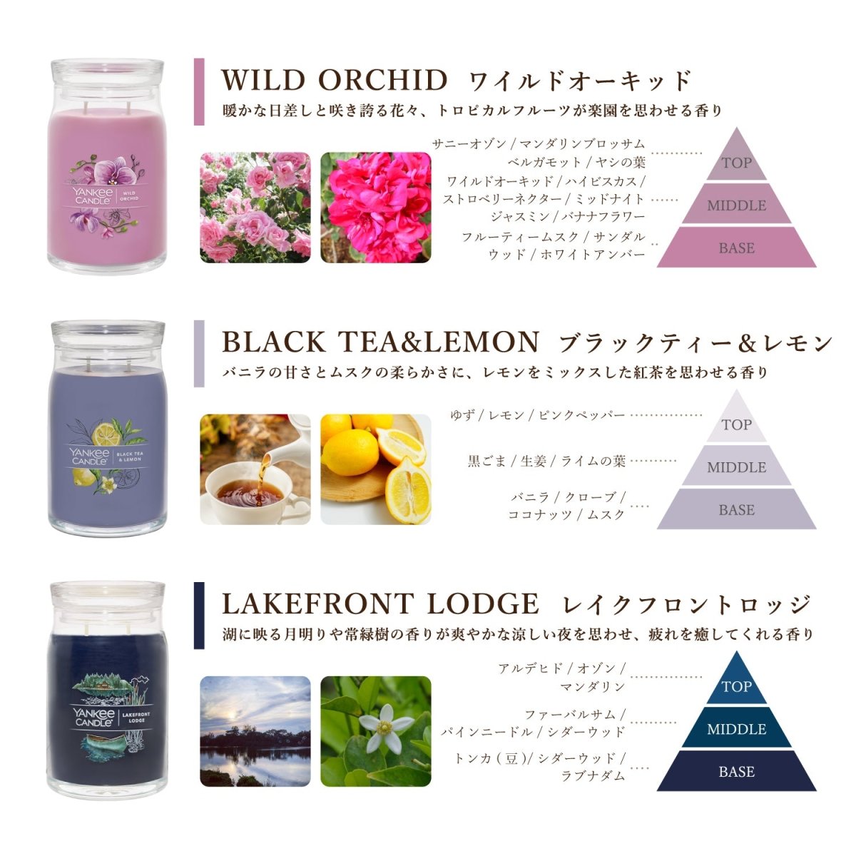 YANKEE CANDLE（ヤンキーキャンドル）アロマキャンドル シグネチャー ジャーL