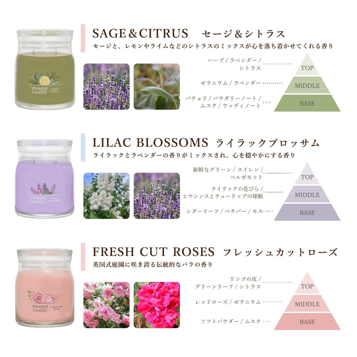 YANKEE CANDLE（ヤンキーキャンドル）アロマキャンドル シグネチャー ジャーM