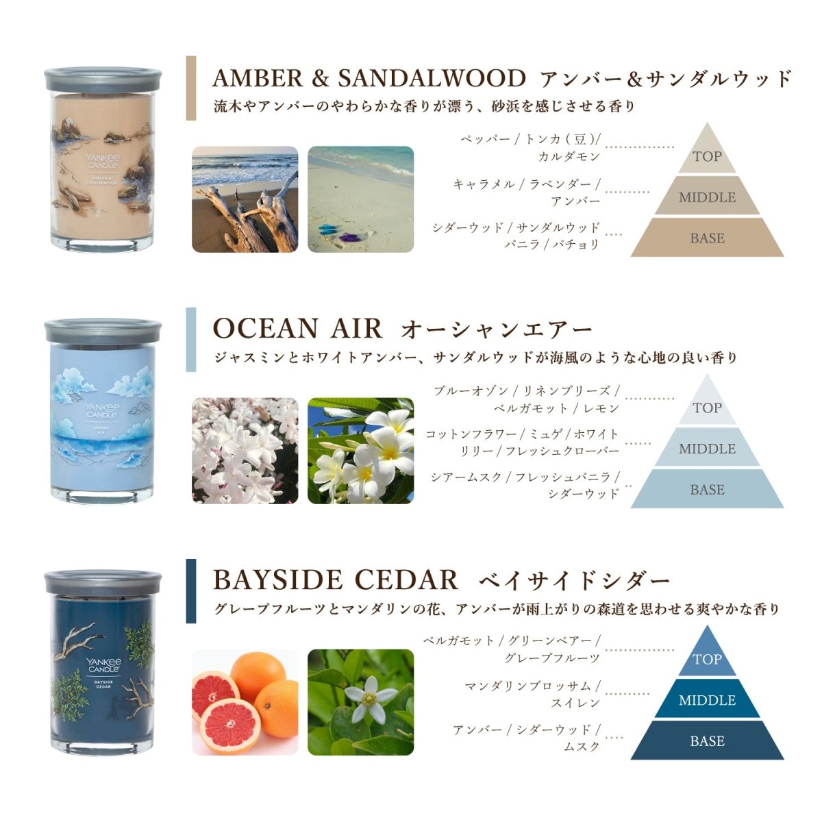 YANKEE CANDLE（ヤンキーキャンドル）アロマキャンドル シグネチャータンブラー２ウィック