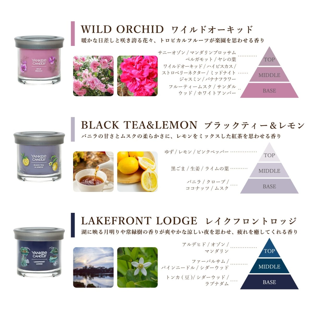 YANKEE CANDLE（ヤンキーキャンドル）アロマキャンドル シグネチャータンブラー S